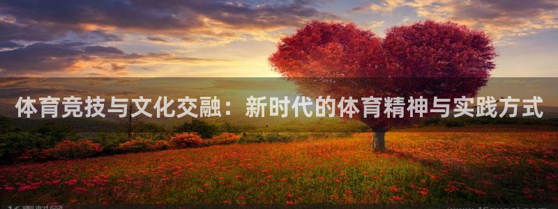 bbin视讯游戏平台：体育竞技与文化交融：新时代的体育精神与实践方式