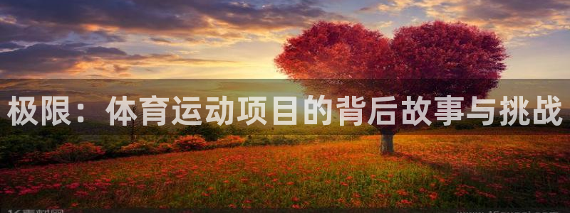 bbin视讯游戏官网：极限：体育运动项目的背后故事与挑战