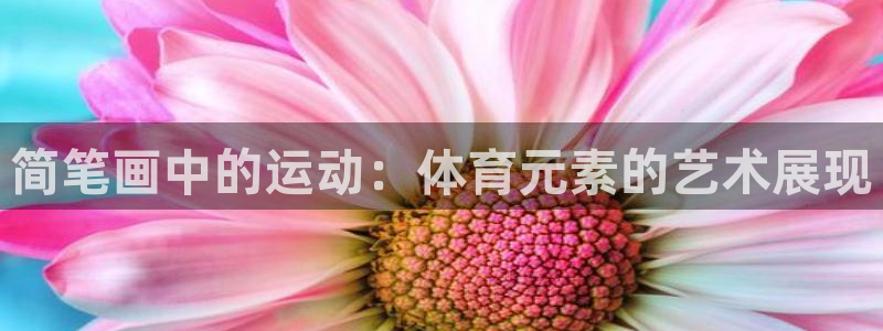 bbin视讯游戏平台：简笔画中的运动：体育元素的艺术展现