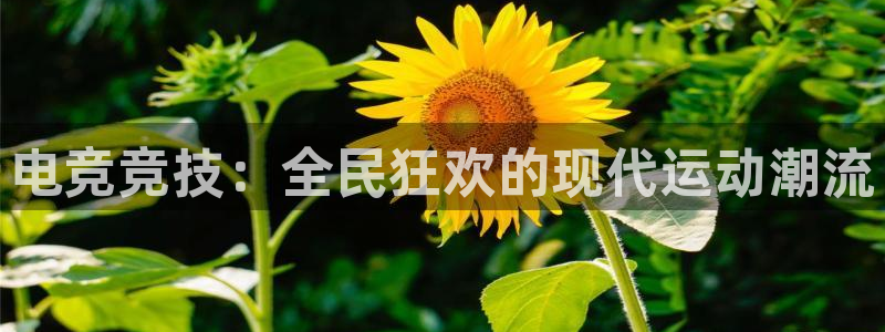 bbin视讯游戏官网：电竞竞技：全民狂欢的现代运动潮流