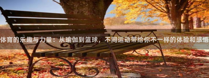 bbin视讯游戏官网：体育的乐趣与力量：从瑜伽到篮球，不同运动带给你不一样的体验和感悟