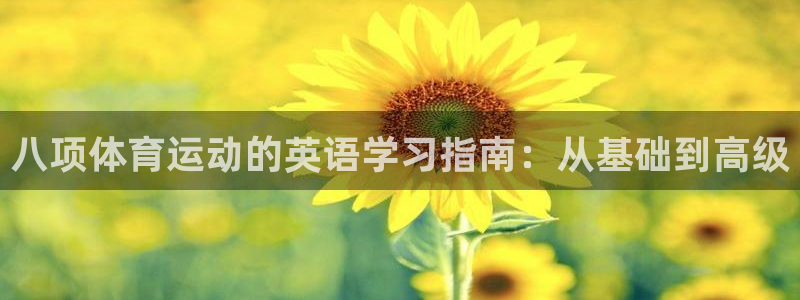 bbin视讯游戏平台：八项体育运动的英语学习指南：从基础到高级