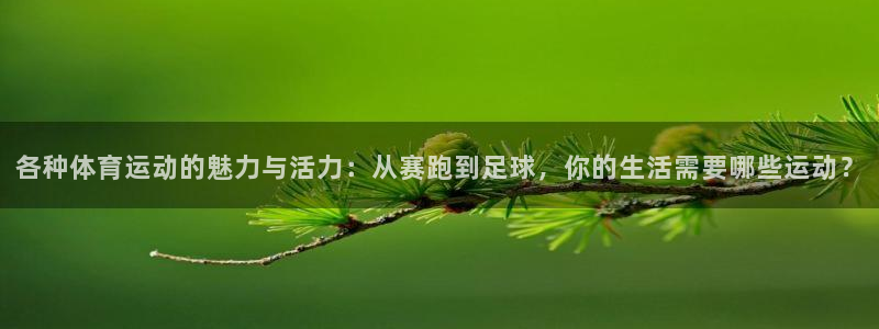 bbin视讯游戏平台：各种体育运动的魅力与活力：从赛跑到足球，你的生活需要哪些运动？