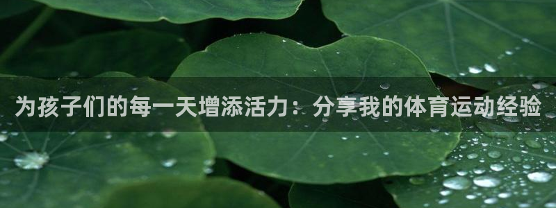 bbin视讯下：为孩子们的每一天增添活力：分享我的体育运动经验