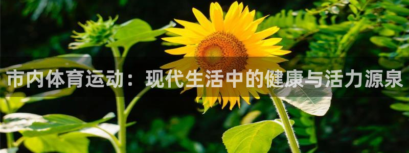 bbin视讯游戏平台：市内体育运动：现代生活中的健康与活力源泉