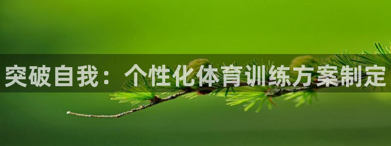 bbin视讯游戏平台：突破自我：个性化体育训练方案制定