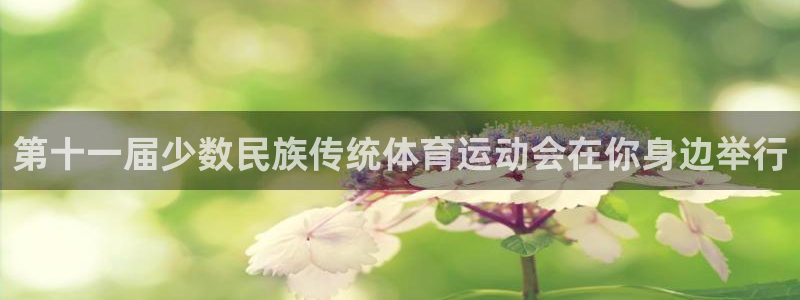bbin视讯：第十一届少数民族传统体育运动会在你身边举行