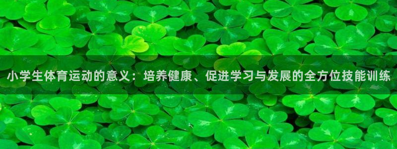 bbin视讯游戏平台：小学生体育运动的意义：培养健康、促进学习与发展的全方位技能训练